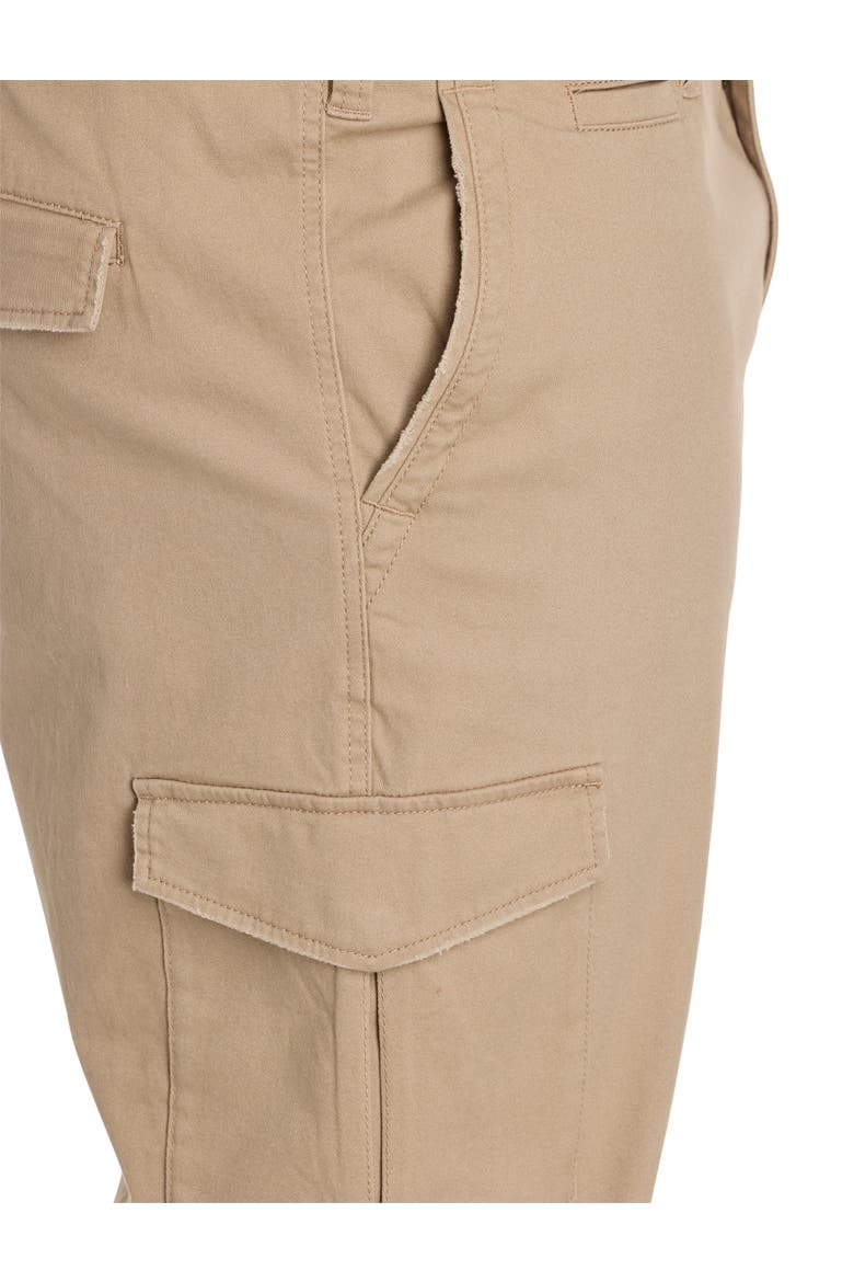Big & Tall Everyday Cargo Pants, Alternate, color, DUNE