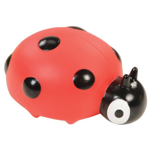 Kaplan Early Learning Company Garden Insects In Multi