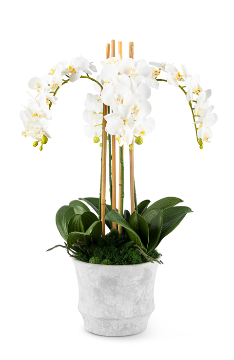 Celeste RealTouch Orchid Arrangement
