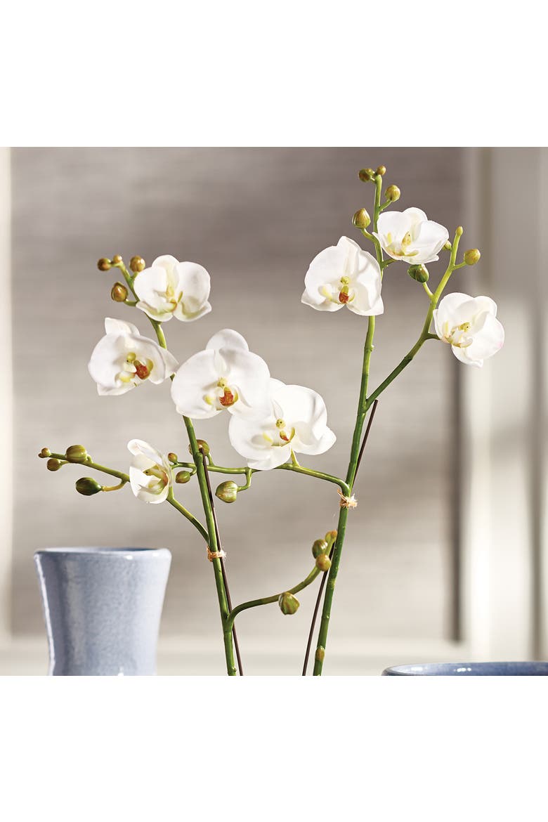 Phalaenopsis X 2 Drop-In 23", Alternate, color, White