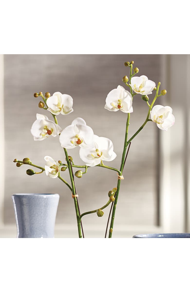 Napa Home & Garden Phalaenopsis X 2 Drop-In 23", Alternate, color, 