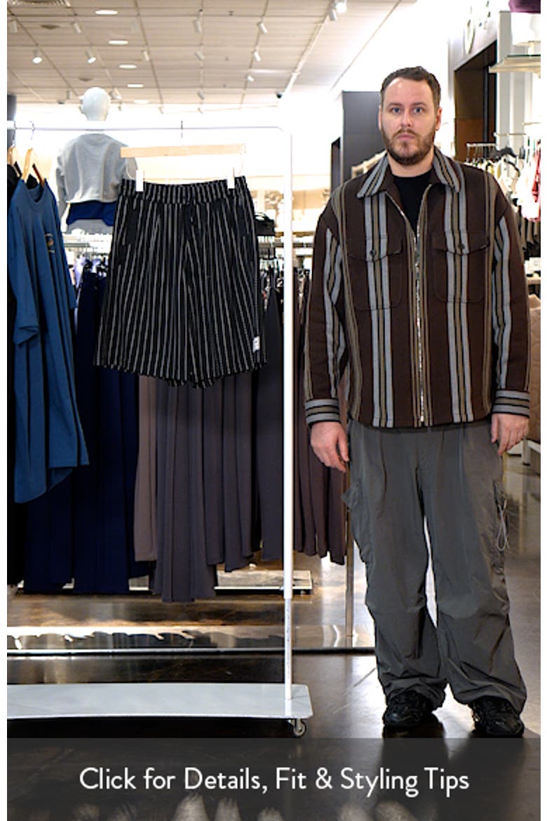 Mesh Pinstripe Shorts video