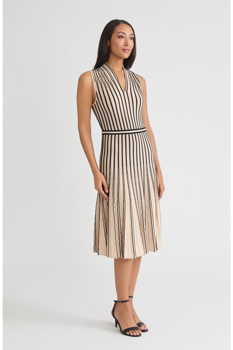 Fit & Flare Sleeveless Striped Soft Ribbed Knit Dress, Alternate, color, Biscotti/Black