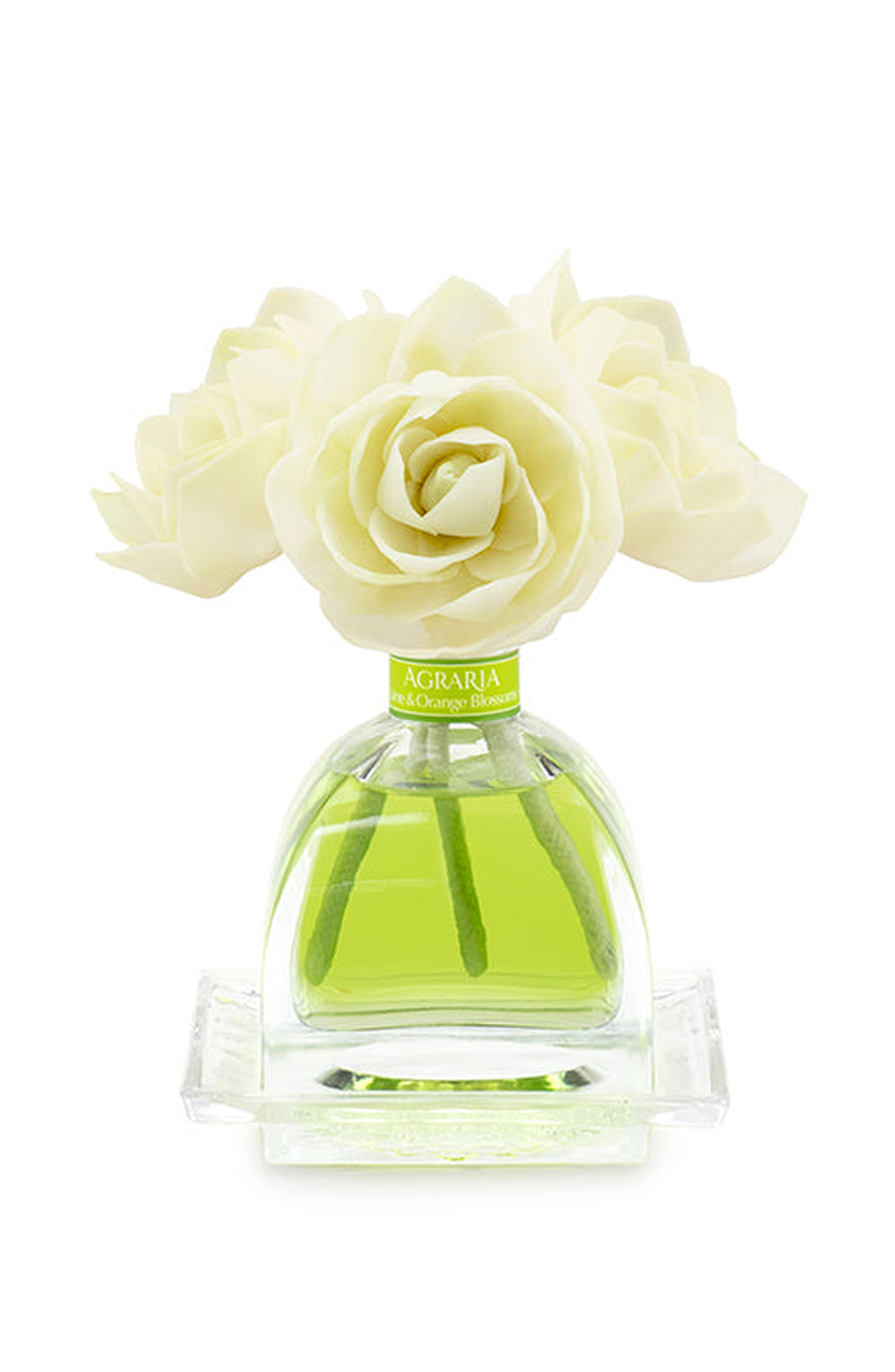 Lime & Orange