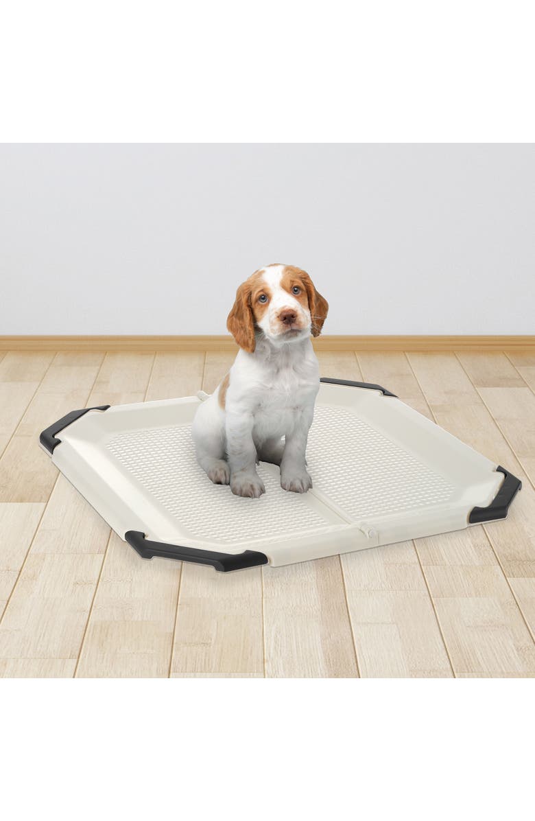 Richell Paw Trax Potty Pad Holder In Light Beige & Black, Potty Training Tray Dogs, Alternate, color, Multicolored