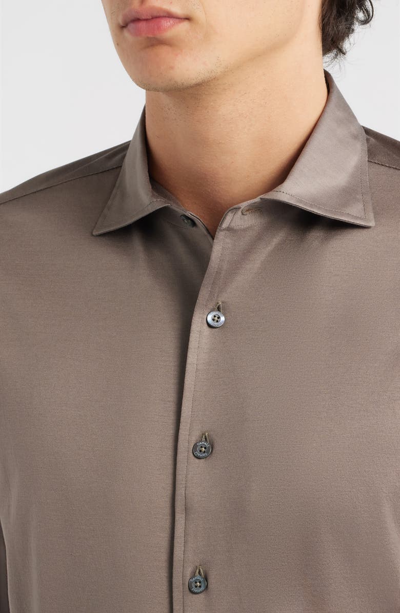 Canali Regular Fit Cotton Jersey Dress Shirt, Alternate, color, Brown