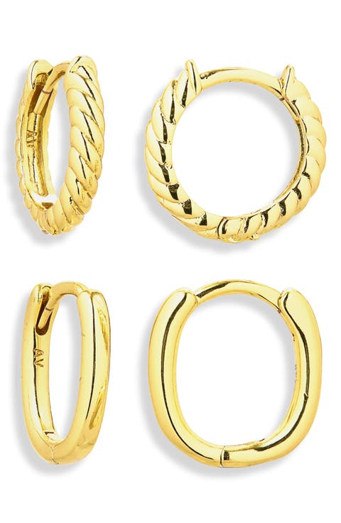 Pack of 2 Assorted Hoop Earrings