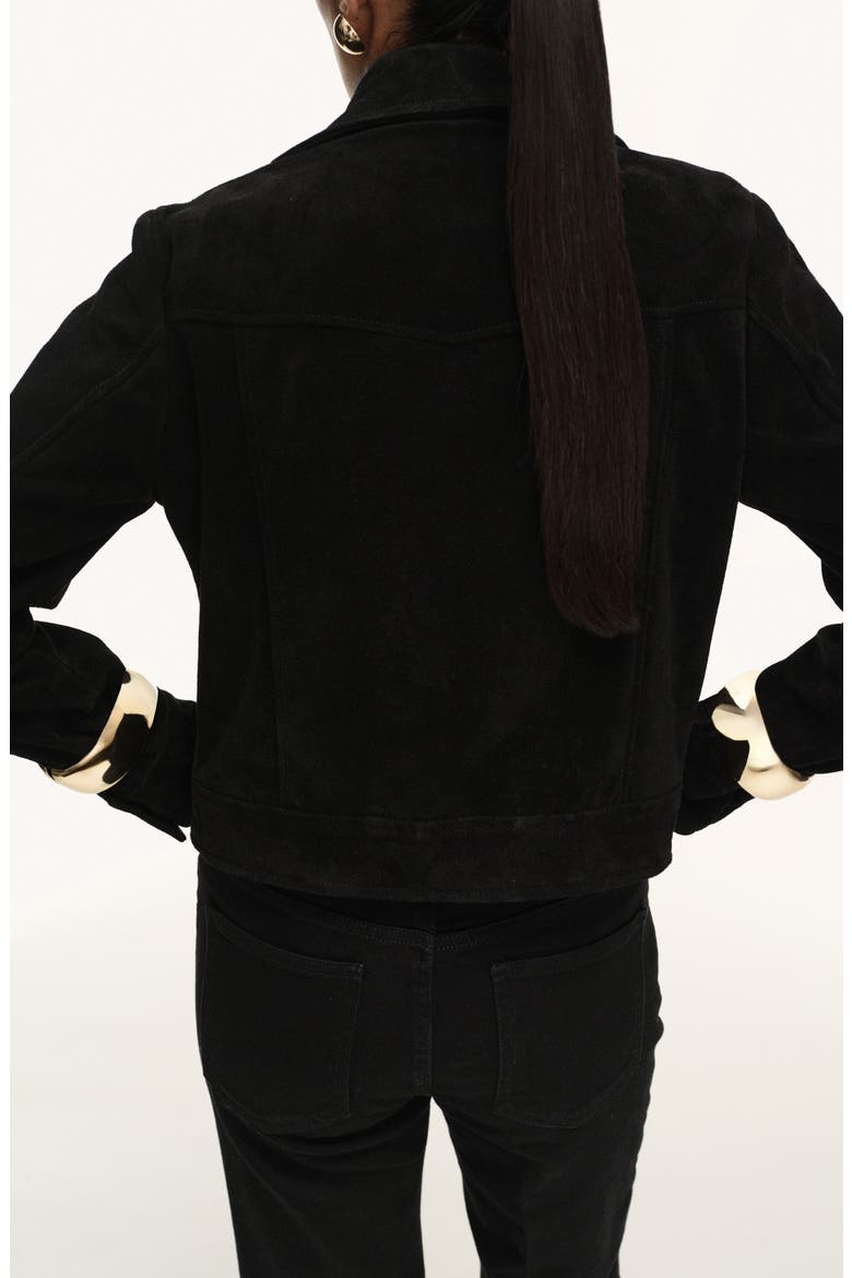 Suede Jacket, Alternate, color, BLACK
