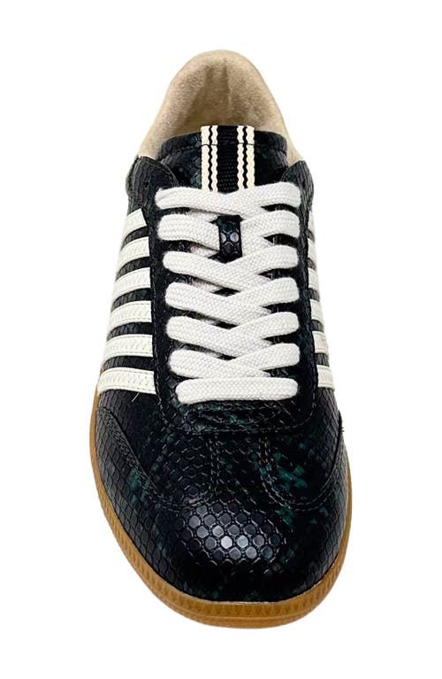 Shushop Stevie Sneaker In Black
