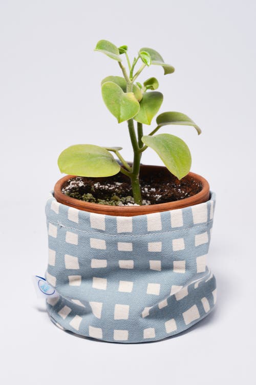 Dance Happy Grid Round Bin/canvas Planter In Steel