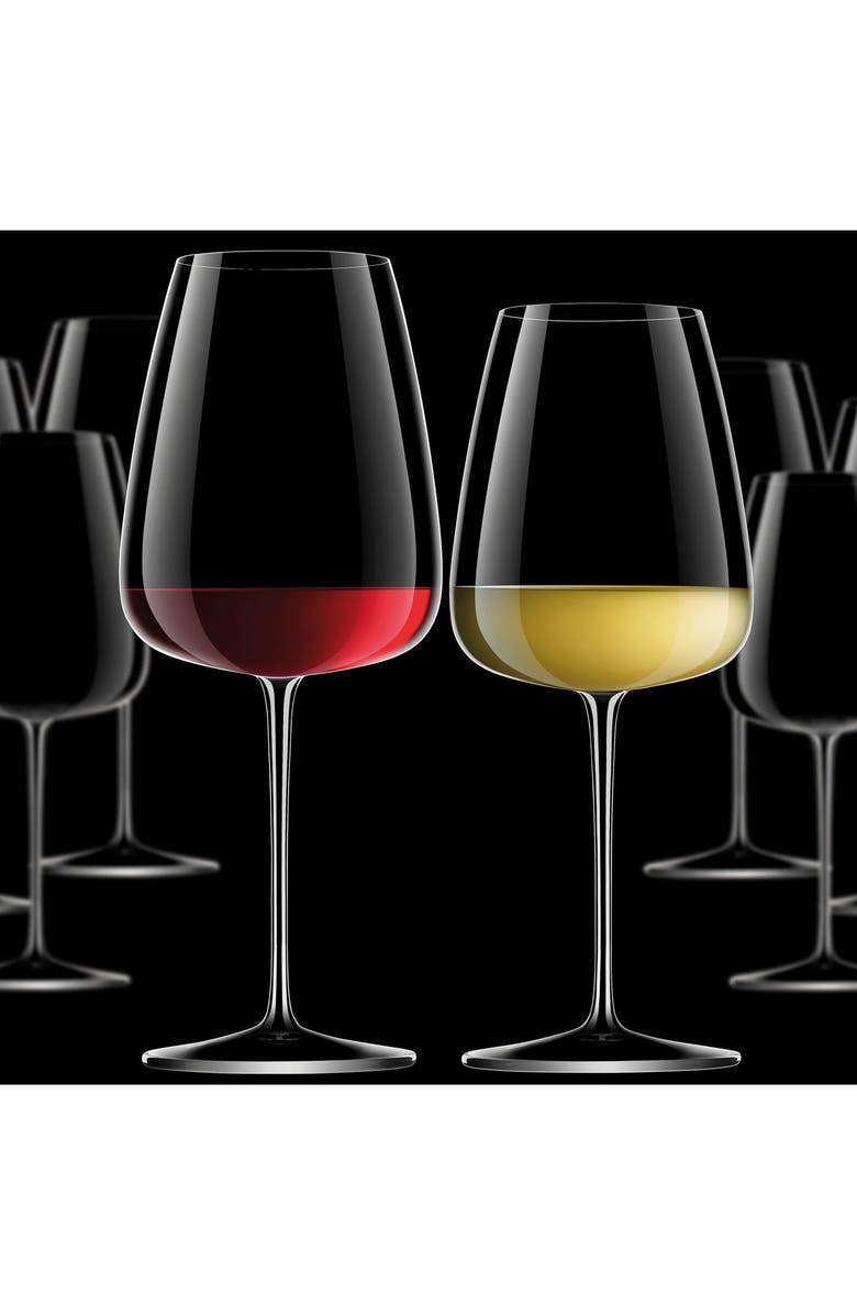 Luigi Bormioli Talismano 8-Piece Stemware Set, Alternate, color, Clear