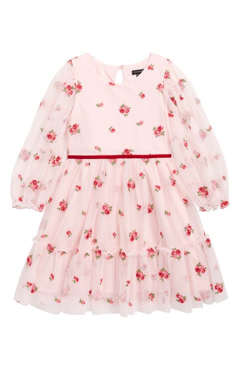 Kids' Floral Embroidered Mesh Tiered Party Dress (Little Kid & Big Kid)