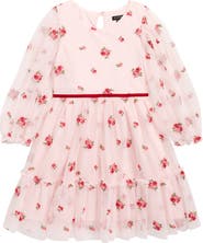 Zunie Kids' Floral Embroidered Mesh Tiered Party Dress