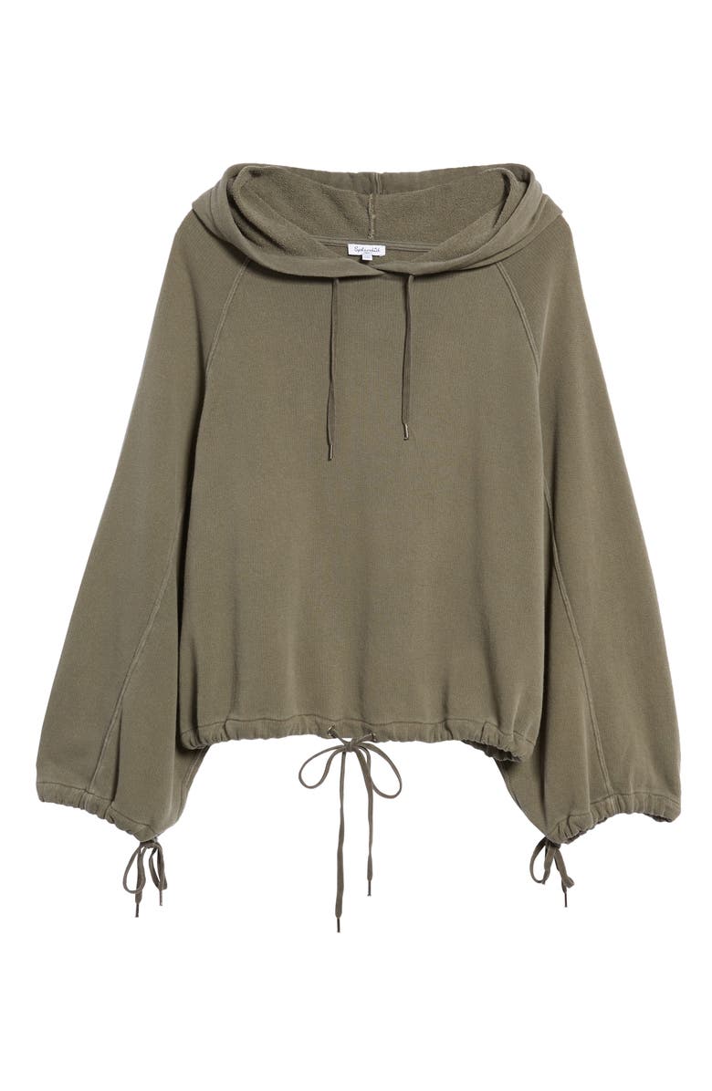 Splendid Crescent Hoodie, Alternate, color,