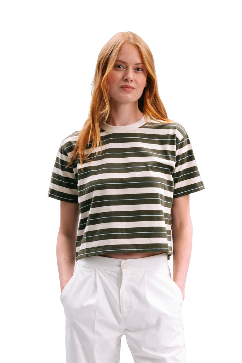 The Recycled Stripe Crop Tee, Main, color, Surplus Green Stripe