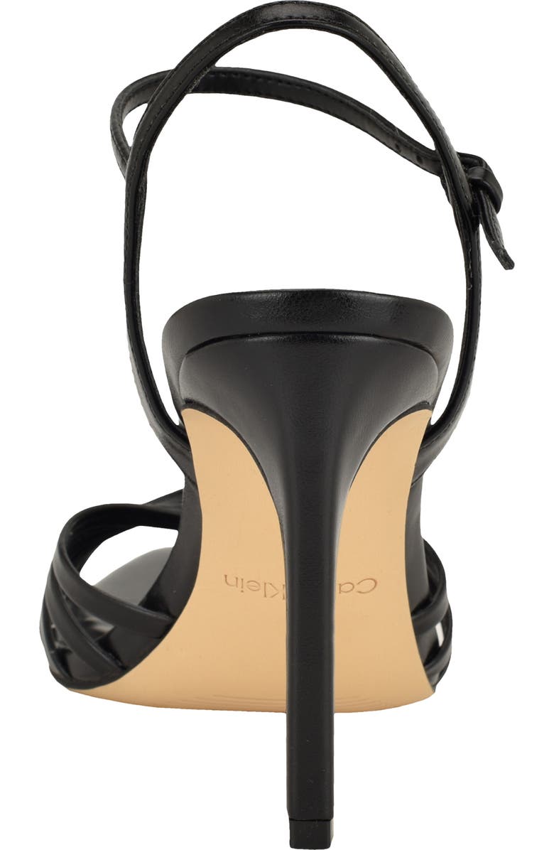 Calvin Klein Daniella Ankle Strap Pointed Toe Sandal, Alternate, color, Black