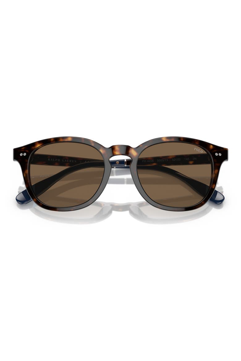 52mm Phantos Sunglasses, Alternate, color, SHINY DARK HAVANA / BROWN
