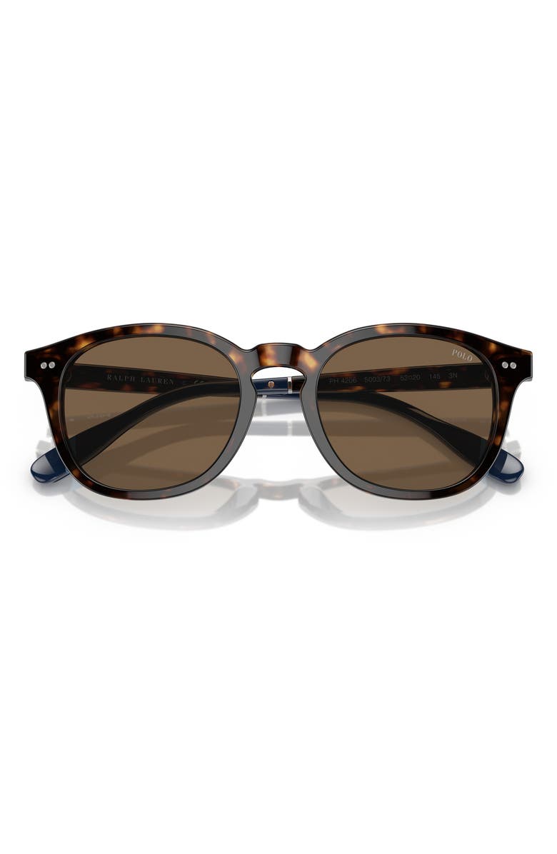 Polo Ralph Lauren 52mm Phantos Sunglasses, Alternate, color, Shiny Havana/ Brown
