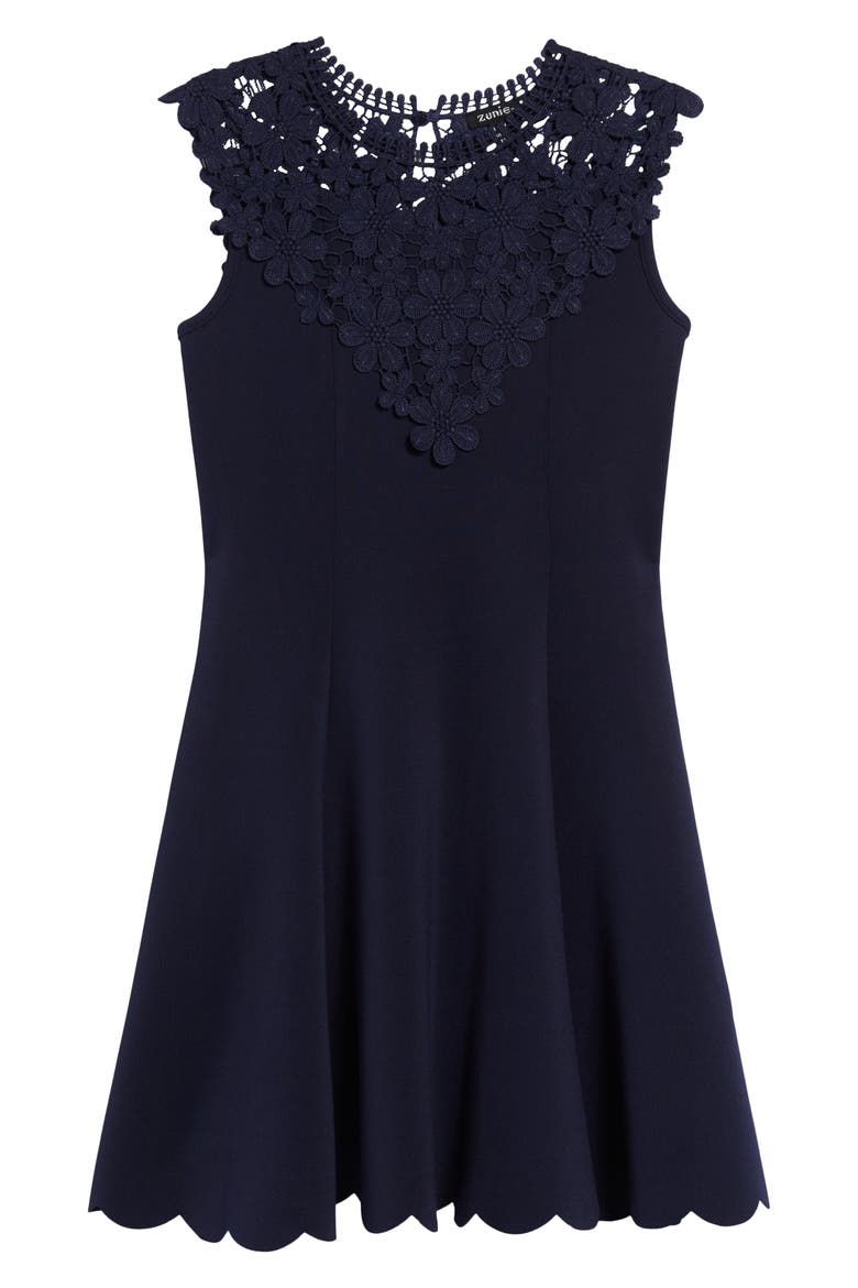 Embroidered Lace Fit & Flare Dress, Main, color, NAVY