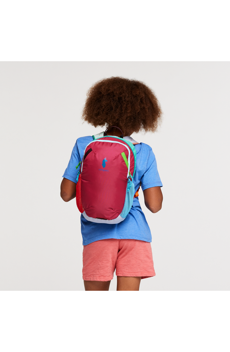 Cotopaxi Dimi 12L Backpack - Del Día - Kids', Alternate, color, Del Día