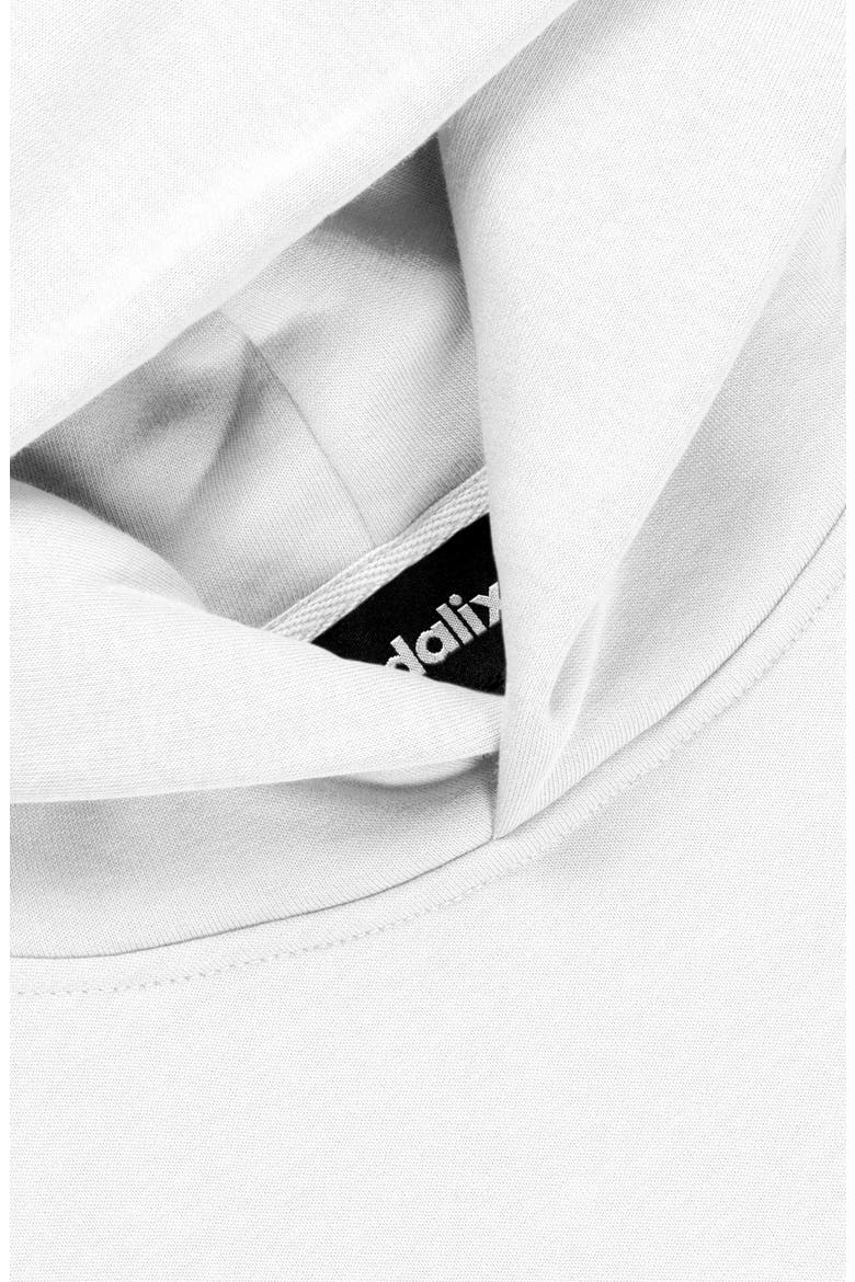 Ghost Relaxed Midweight Fleece Pullover Hoodie, Alternate, color, White