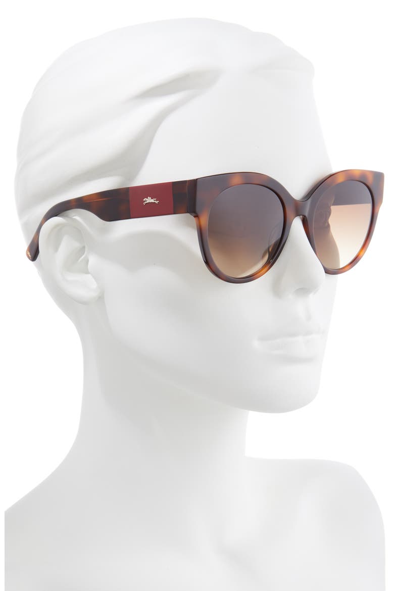 53mm Gradient Round Sunglasses, Alternate, color, HAVANA/ BROWN GRADIENT