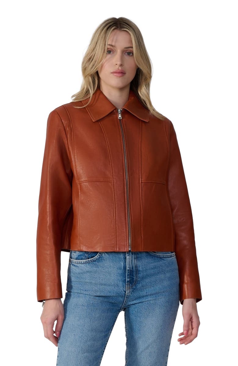 Furniq UK Daisy Leather Jacket, Alternate, color, Whiskey Brown