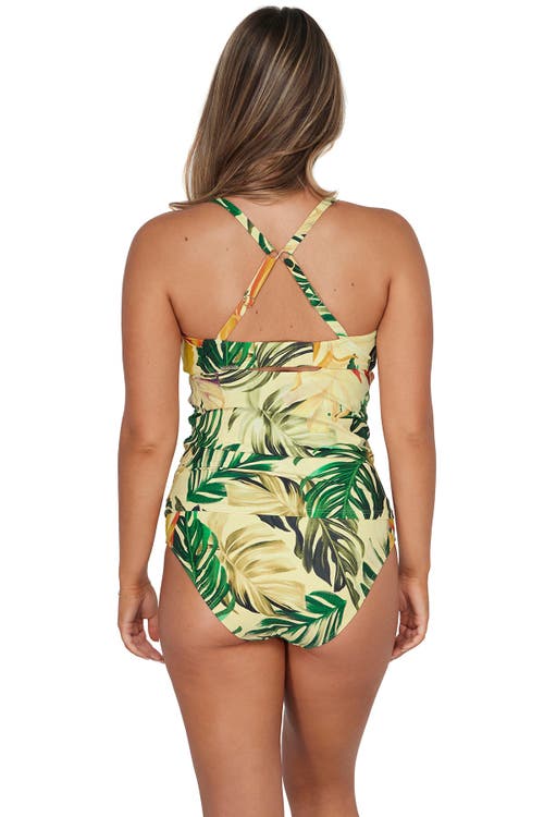 Sunsets Zuri V-wire Tankini In Amber Oasis