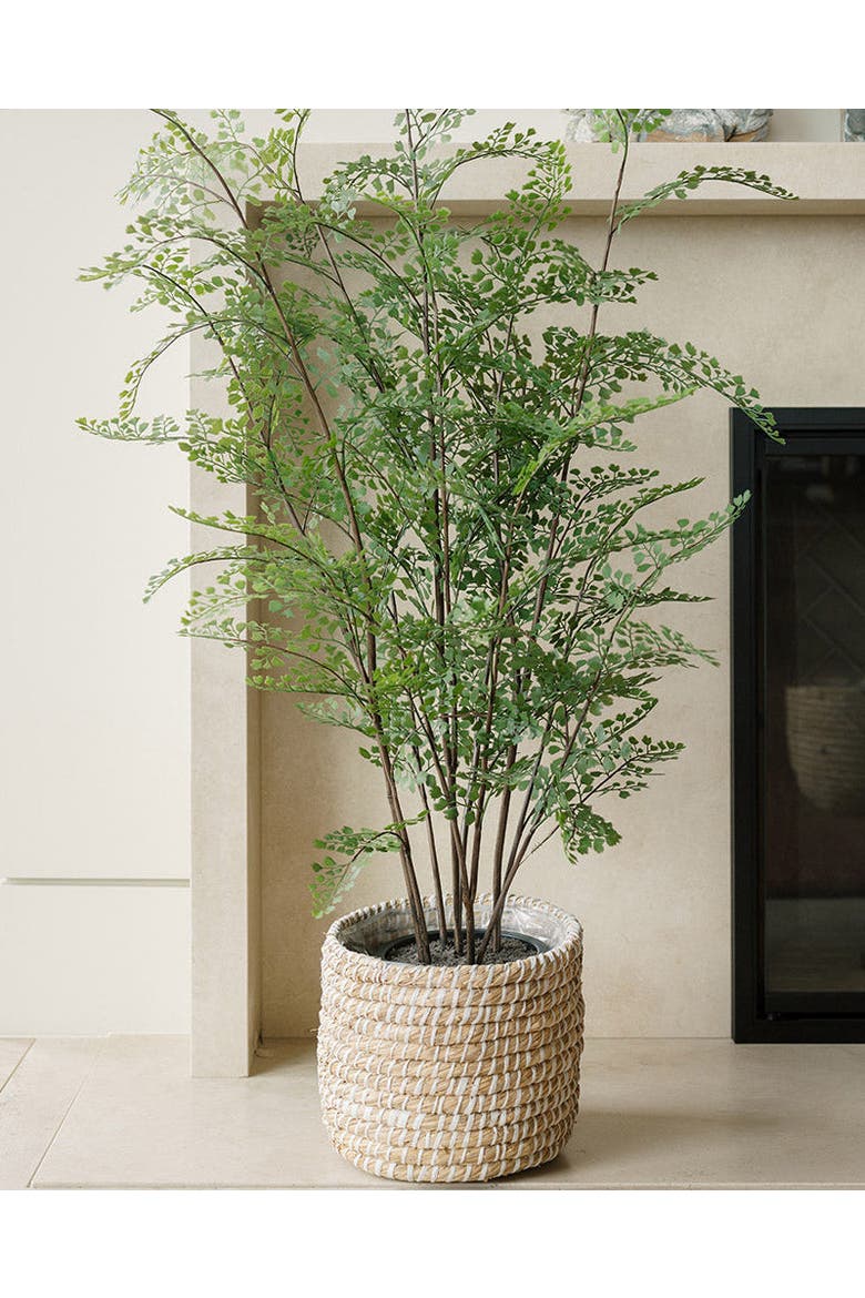 Faux Maidenhair Fern, Alternate, color, Green