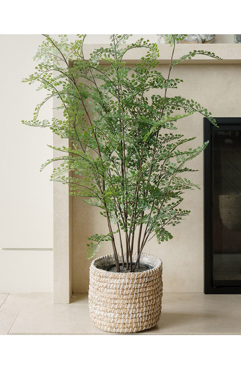 CG Hunter Faux Maidenhair Fern, Alternate, color, Green