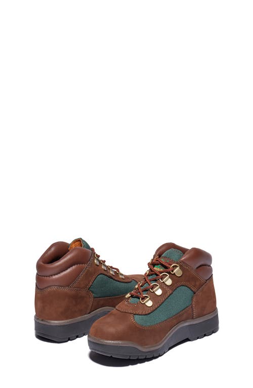 Timberland Big Kids' Field Boots In Dark Brown