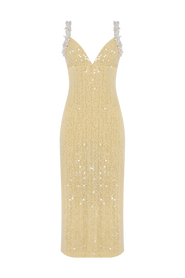 PatBO Iara Crochet Flowers Midi Dress