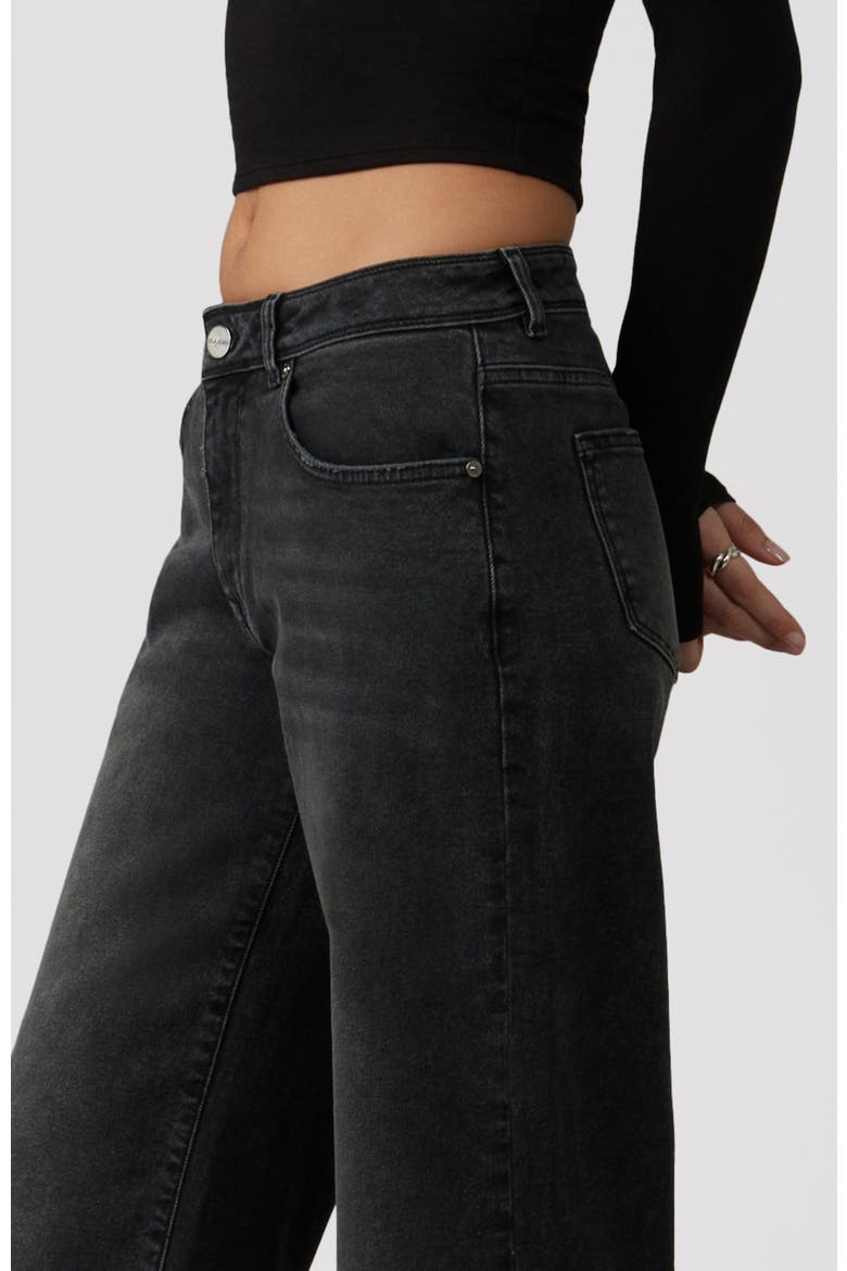 Nova High Rise Wide Leg Jeans, Alternate, color, Black Ash