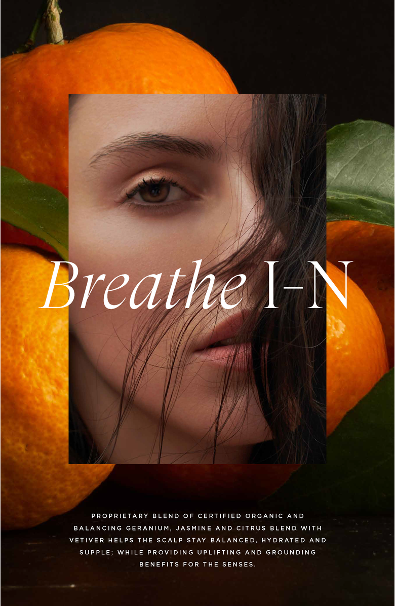 Intelligent Nutrients Good Hair Guardian Thermal Primer, Alternate, color, NO COLOR