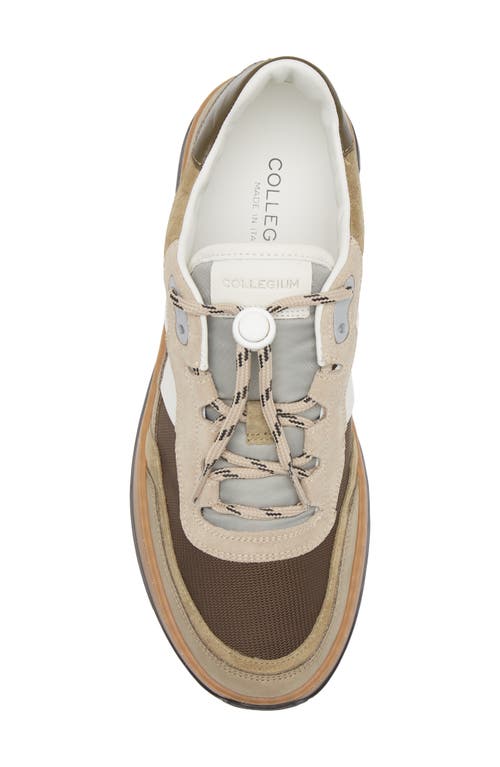 Collegium Pillar Trail Sneaker In Brown