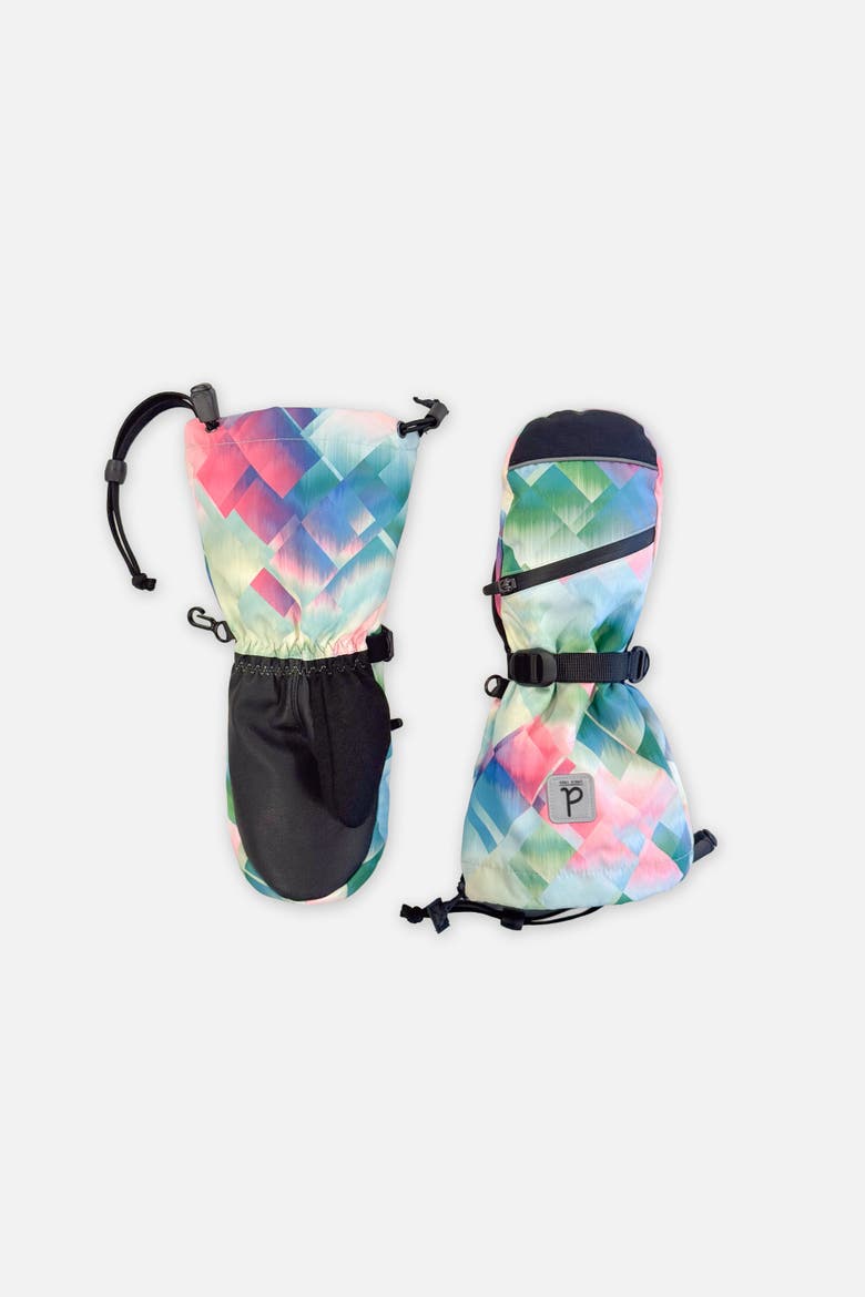 Diamond Teknik Waterproof Cordura Reinforced Winter Mittens, Main, color, Multicolored with a Diamond