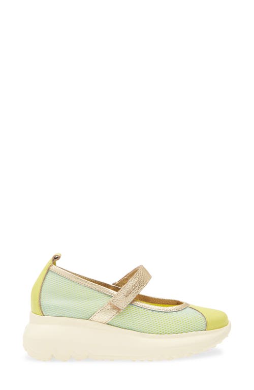 Wonders Mesh & Leather Flat In Cyber/platino