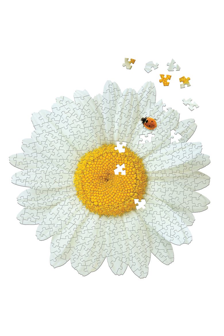I Am Daisy 350 Piece Jigsaw Puzzle 23X23 Inch, Alternate, color, Multicolored