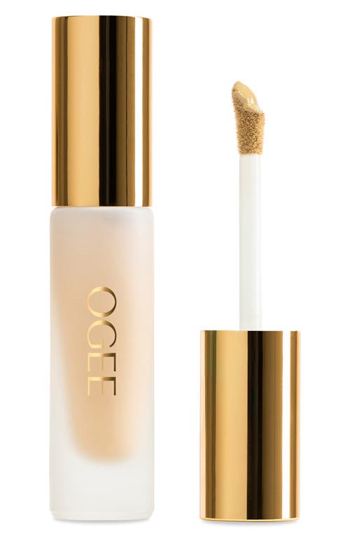 Ogee Complexion Perfecting Concealer