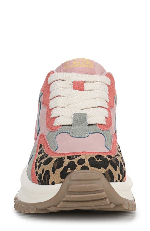 BLOWFISH MALIBU BLOWFISH MALIBU LEO TRAINER SNEAKER