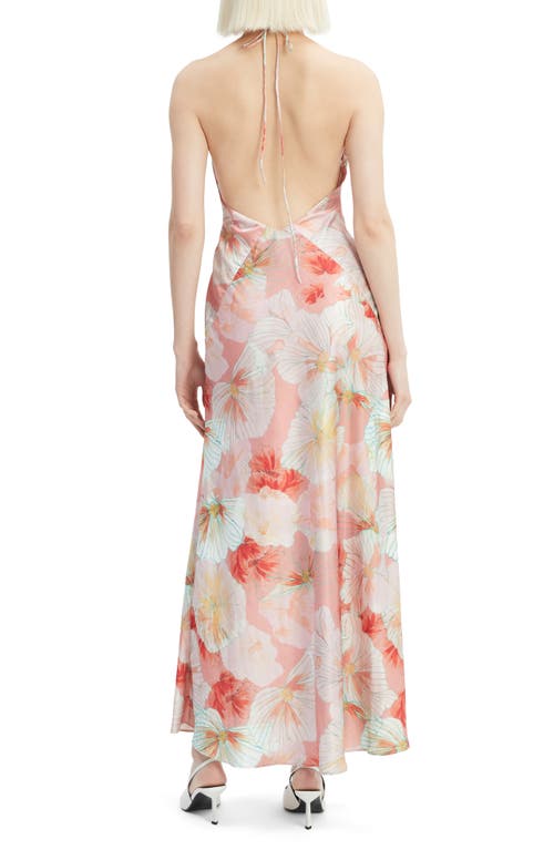 Shop Bardot Aradia Rosette Floral Plunge Halter Gown In Peach Floral