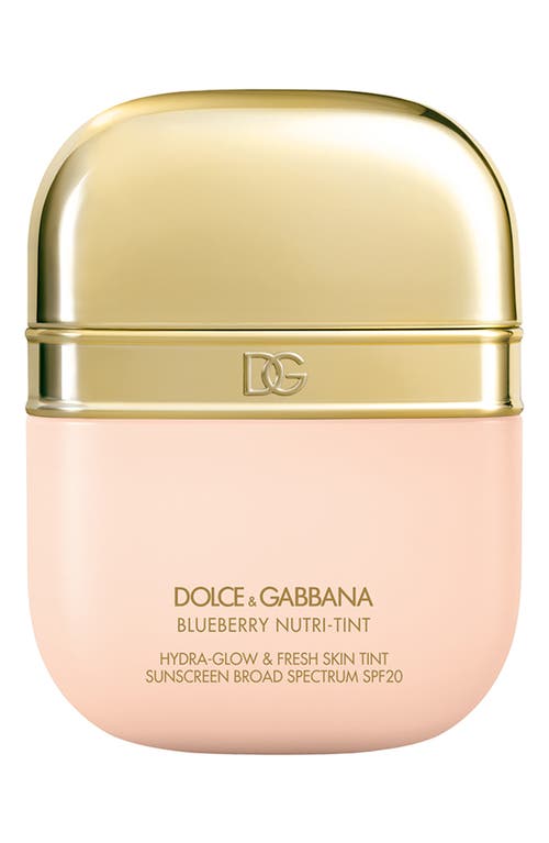 Dolce & Gabbana Dolce&gabbana The Blueberry Nutri-tint Skin Tint