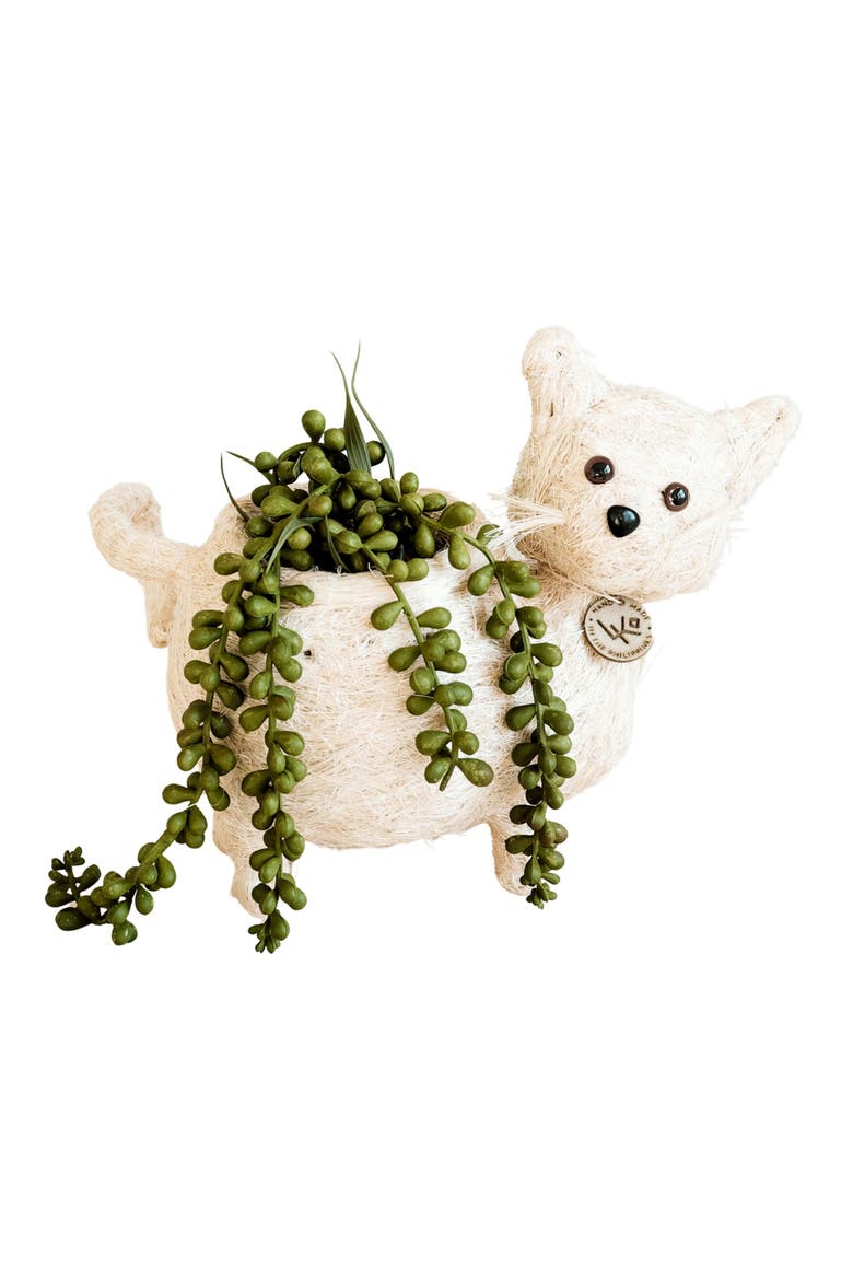 Baby Cat Handwoven Planter, Main, color, WHITE