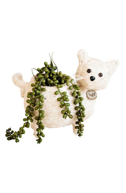 Baby Cat Handwoven Planter