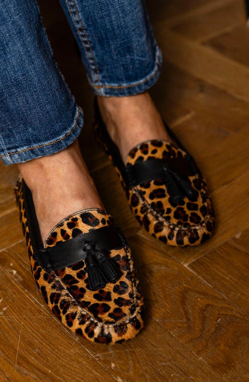 Patricia Green Jordan Moc Toe Tassel Loafer In Brown