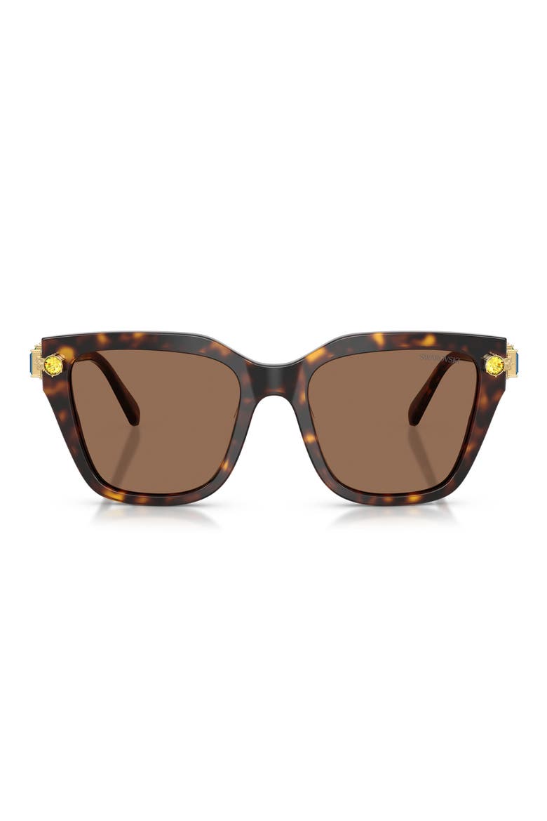 53mm Irregular Sunglasses, Main, color, HAVANA / DARK BROWN