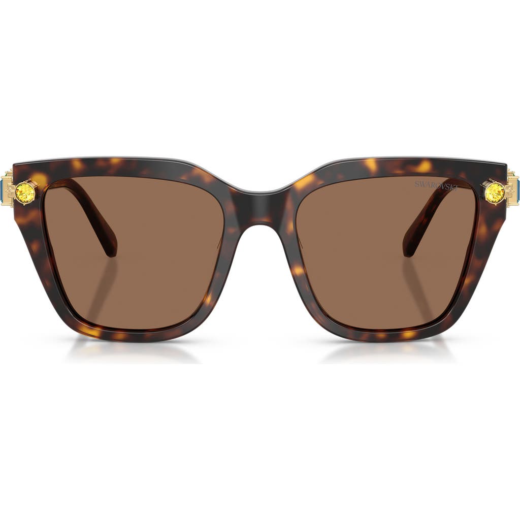 Swarovski 53mm Irregular Sunglasses In Brown