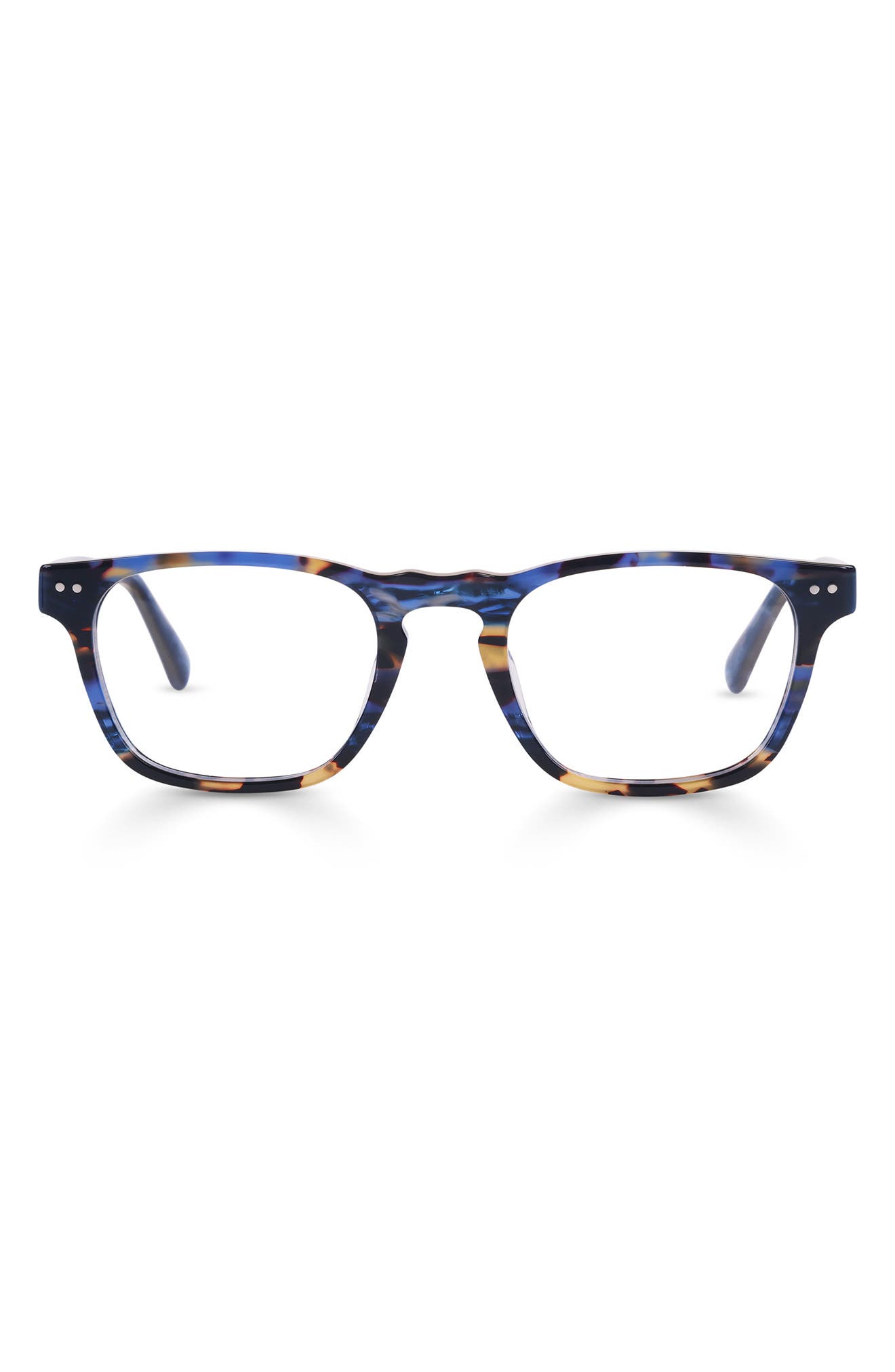 BLUE TORTOISE