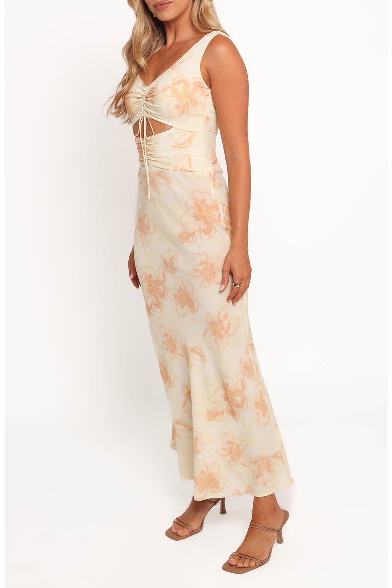 Orin Sleeveless Floral Print Dress, Alternate, color, YELLOW
