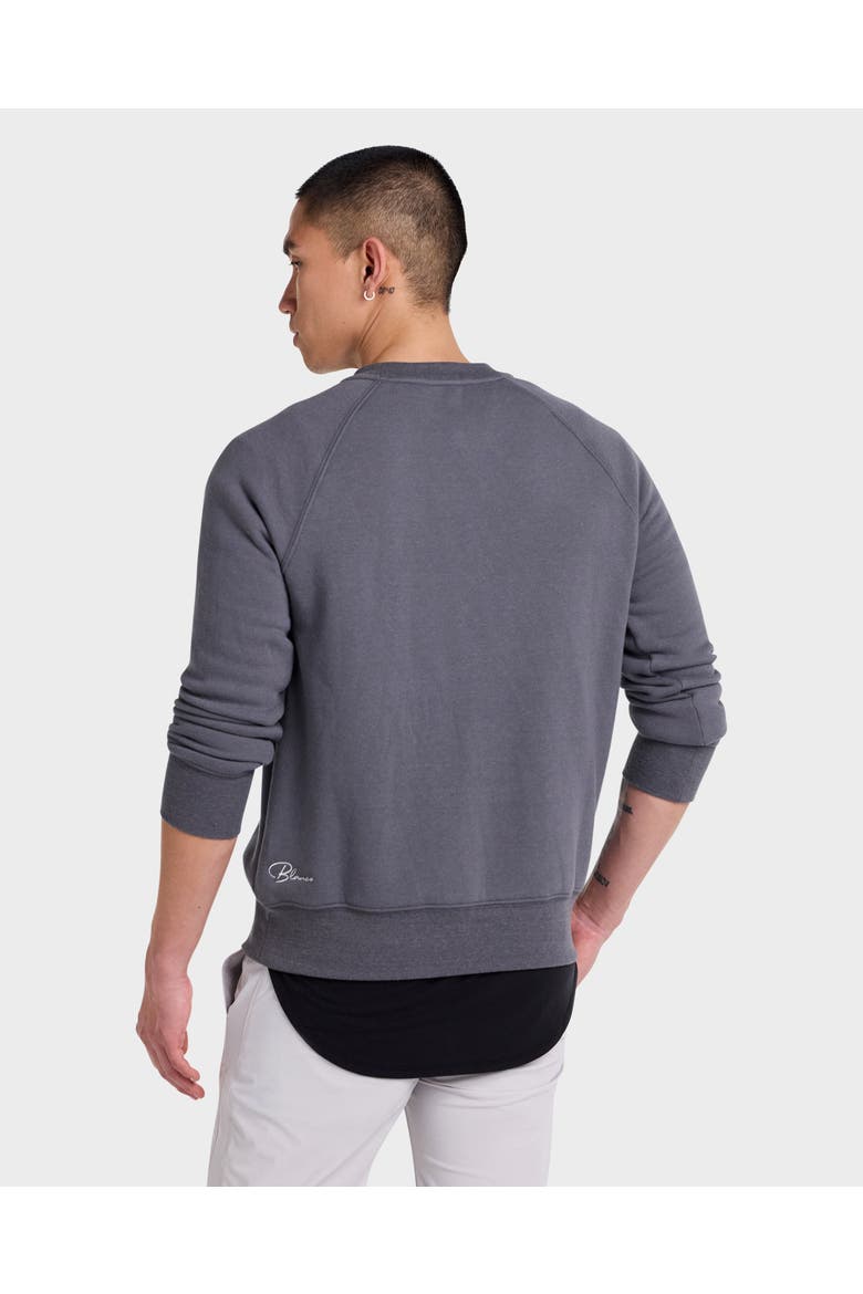 Raglan Sweater Super Soft, Alternate, color, Newsprint